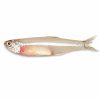 Anchovy