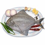 black-pomfret-slice-01