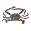 Blue Crab