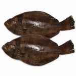 indian-halibut-04