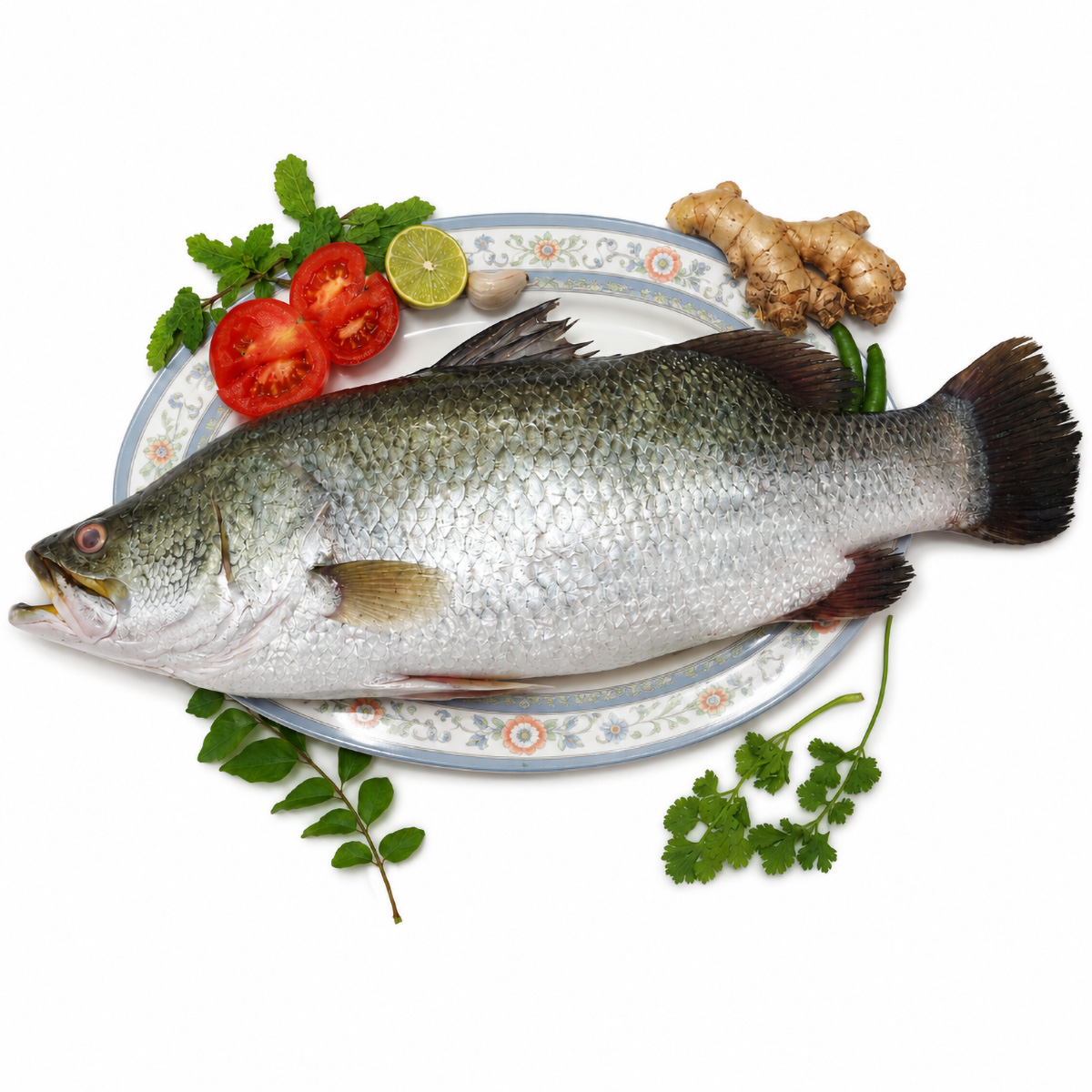 sea-bass-betki-slilce-01
