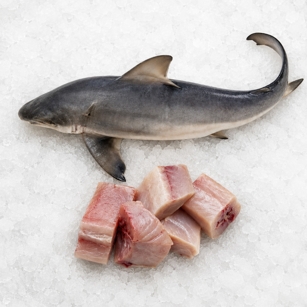 shark-slice-01