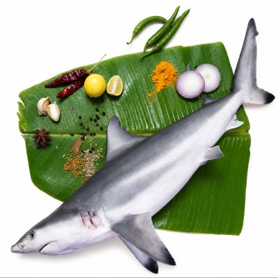Shark (Slice)
