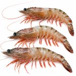 tiger-prawn-01
