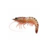 Tiger Prawn / Flower (Small)