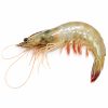 White Prawn (Large)